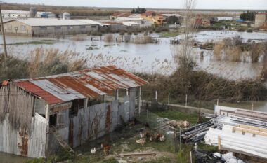 Nga Shkodra te Durrësi, Berati dhe Gjirokastra/ Agjencia Kombëtare e Mbrojtjes Civile: Situatë e rënduar nga moti i keq në disa qarqe të vendit