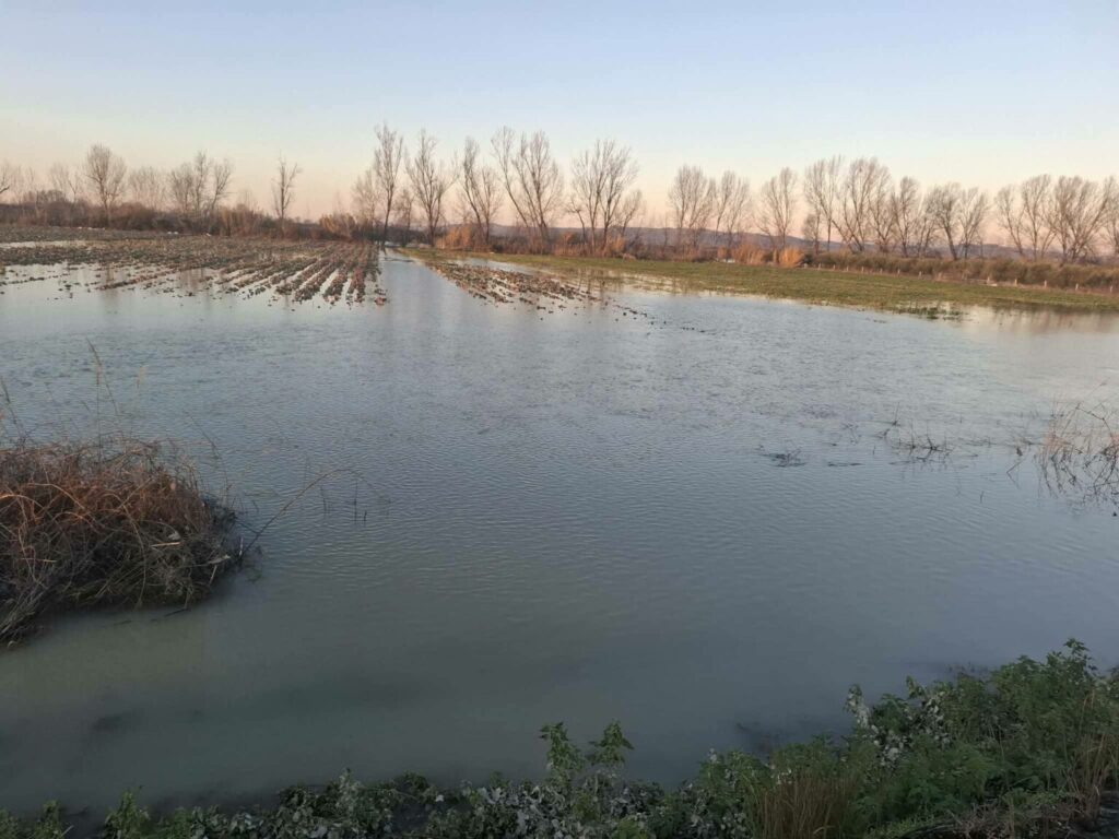 Shkarkimet nga digat dhe kanalet e bllokuara, rritet sipërfaqja e serrave të përmbytura