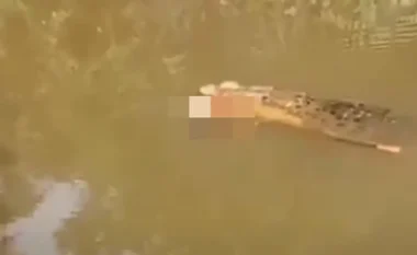 Po kërkonte midhje në lumin Luan Boya, një grua sulmohet nga krokodili në Indonezi