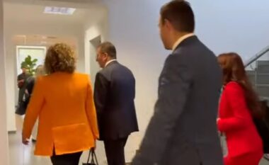 Sekretarja e Përgjithshme e EEP, Montserrat shkon në selinë e PD, takohet me Berishën