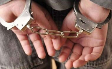 Vrau dy vëllezër në Patos dhe një vajzë në Belgjikë, arrestohet pas 30 vitesh shqiptari në SHBA (EMRI)