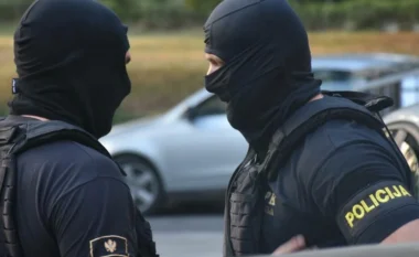 Detaje rreth “gardës sekrete” të Vuçiqit që zbarkoi në Mal të Zi