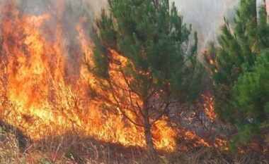 QMK njofton për dy vatra zjarri ende aktive, tetë të tjera janë shuar
